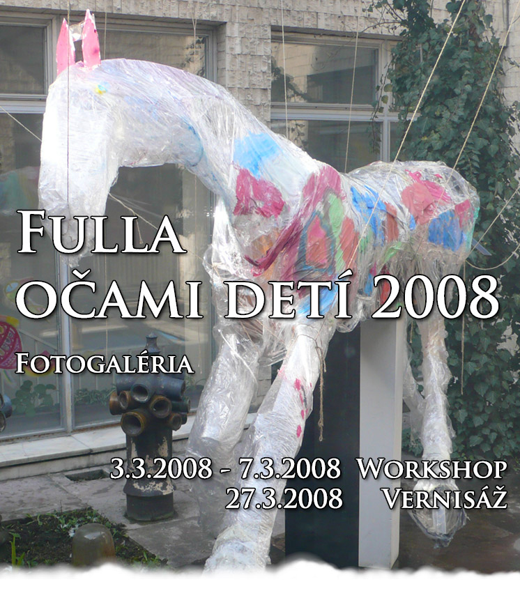 Fulla očami detí 2008 - Fotogaléria záverečná inštalácia